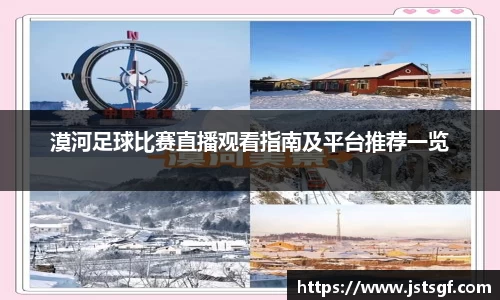 漠河足球比赛直播观看指南及平台推荐一览