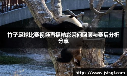 一竞技注册
