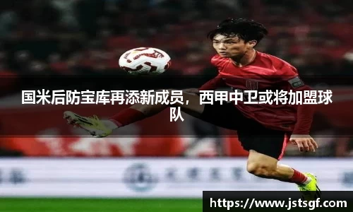 国米后防宝库再添新成员，西甲中卫或将加盟球队